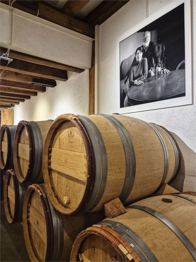 ESCAPADE VITICOLE : AU CŒUR DU TERROIR GENEVOIS - Julien Le Jamtel