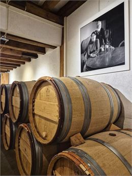 ESCAPADE VITICOLE : AU CŒUR DU TERROIR GENEVOIS - Julien Le Jamtel