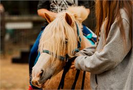 Balade à poneys - Canva