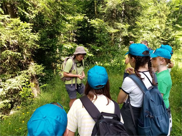 Sortie Nature groupe : Promenons-nous dans les bois..._La Chapelle-d'Abondance - CCPEVA