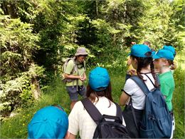 Sortie Nature groupe : Promenons-nous dans les bois..._La Chapelle-d'Abondance - CCPEVA
