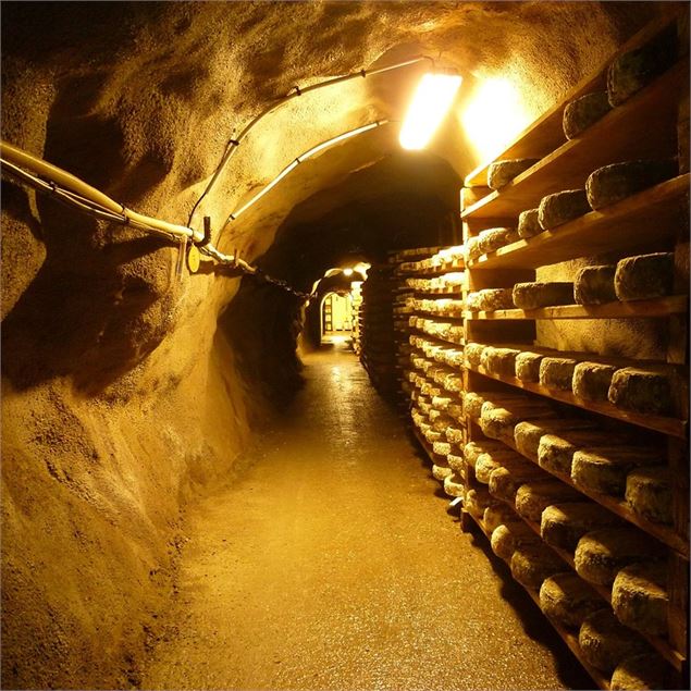 Visite des caves d'affinage de Rognaix - Caves d'affinage de Rognaix