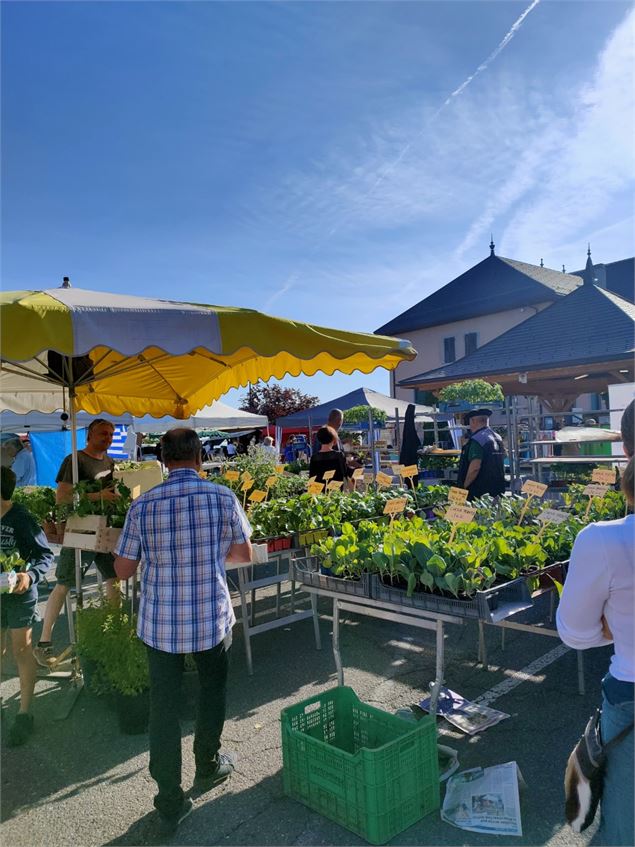 Stand fleuri - mairie de St Paul