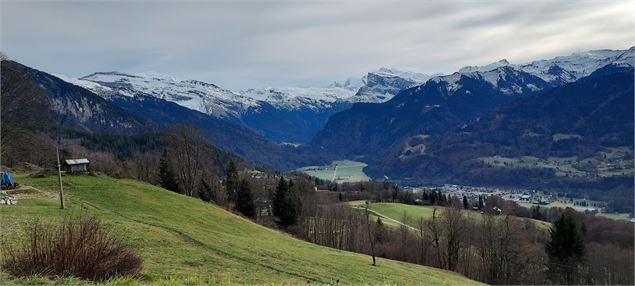  - OTsamoens