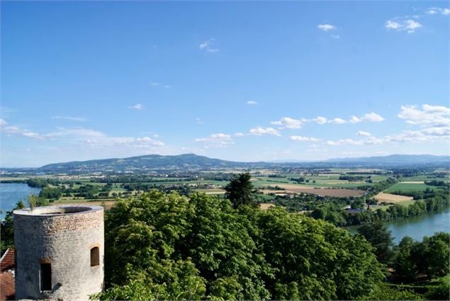 Vue depuis la tour octogonale - Office de tourisme Ars Trévoux