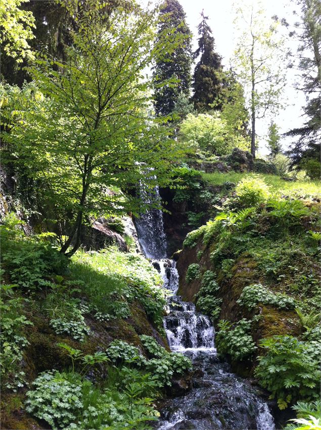 Visite guidée du jardin de la Jaÿsinia