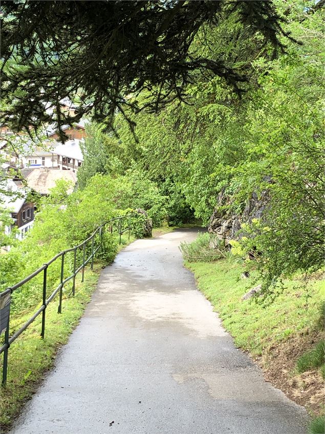 Visite guidée du jardin de la Jaÿsinia