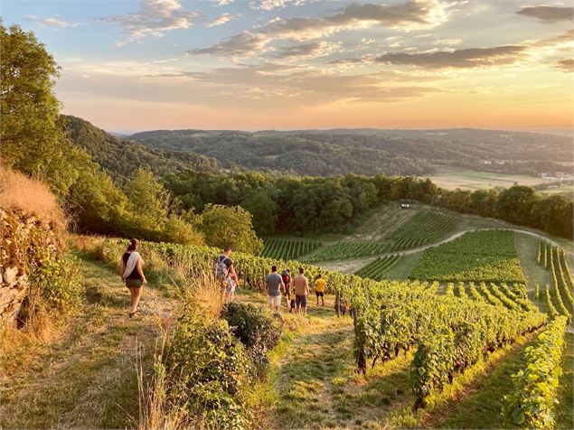 Panorama depuis les vignes - ©Vaingabond
