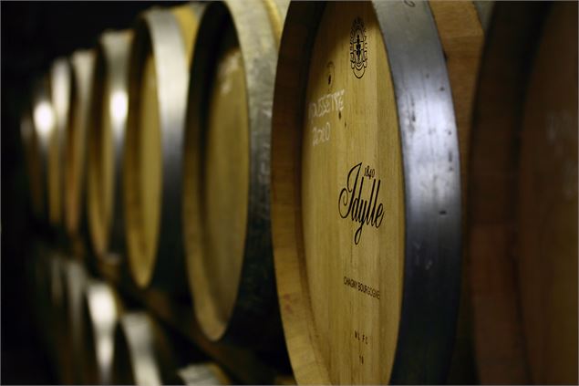 Apéro'vignes au Domaine de l'Idylle_Cruet - Domaine de l'Idylle