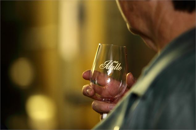 Apéro'vignes au Domaine de l'Idylle_Cruet - Domaine de l'Idylle