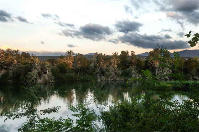 Visite au crépuscule de la Réserve Naturelle du Delta de la Dranse_Thonon-les-Bains - Luc Buffard Ph