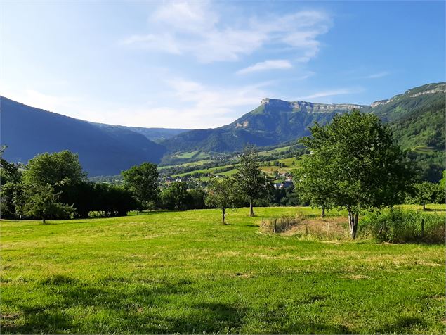 Sortie plantes Massif des Bauges avec Muriel Lallée - Muriel Lallée