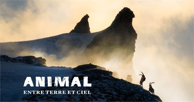 Films Conférences Erik Lapied - Lapied