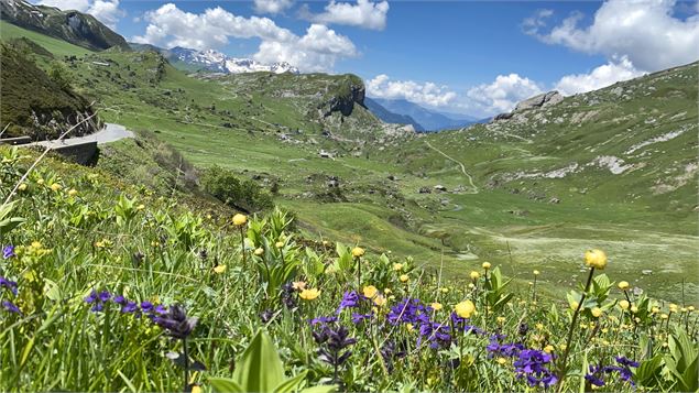 Cormet de Roselend - Alpages - Office de Tourisme du Val d'Arly
