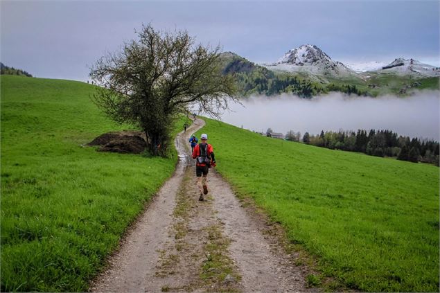 Trails de la Vallée du Brevon
