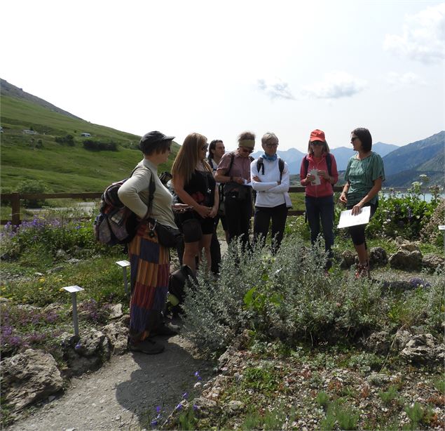 Groupe en sortie ethnobotanique - Xavier Lett