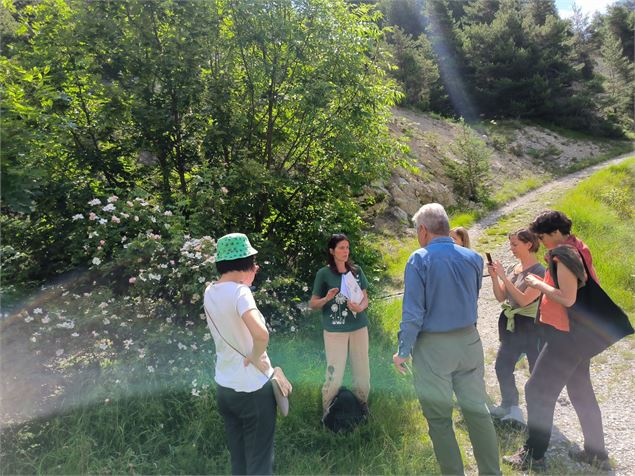Groupe en sortie ethnobotanique à Aussois - Xavier Lett