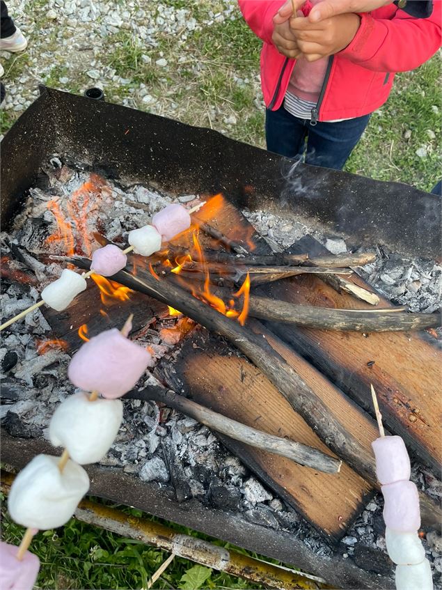 Mashmallows grillés à la soirée barbeuc - Office de Tourisme de Saint Jean d'Arves
