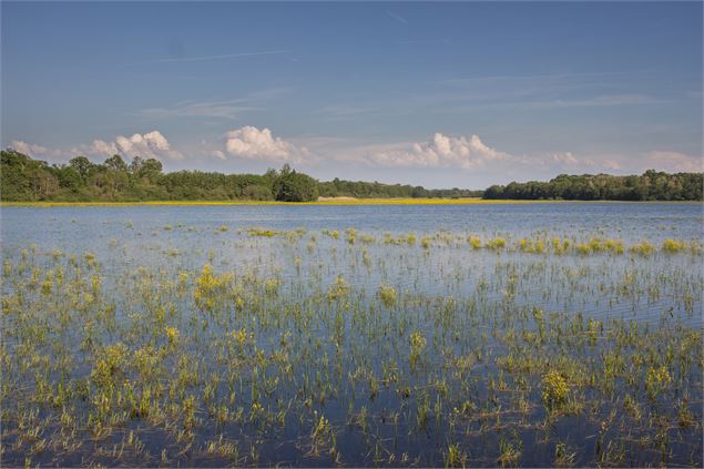 Etang Chapelier