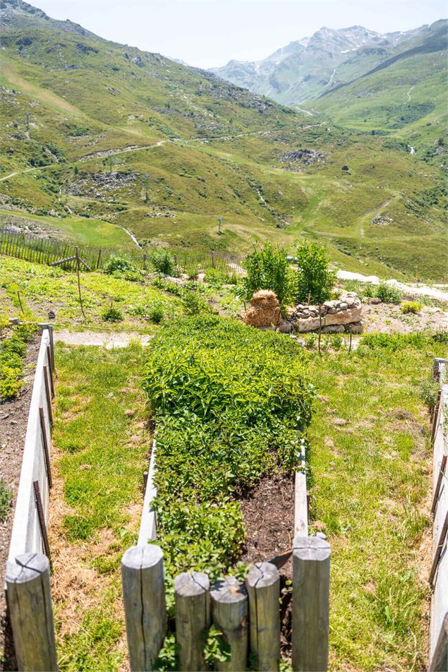 Jardin Chez Pépé Nicolas - T.Loubere