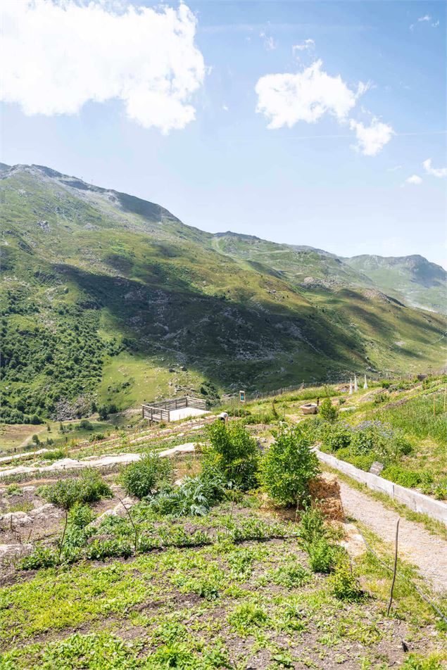 Jardin Pépé Nicolas - T.Loubere