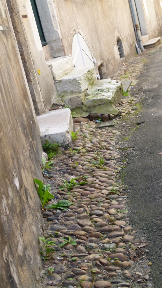Détail1 - ©OTGBA