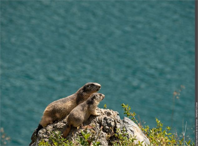 parc national de la vanoise - MELE Stéphane - PNV