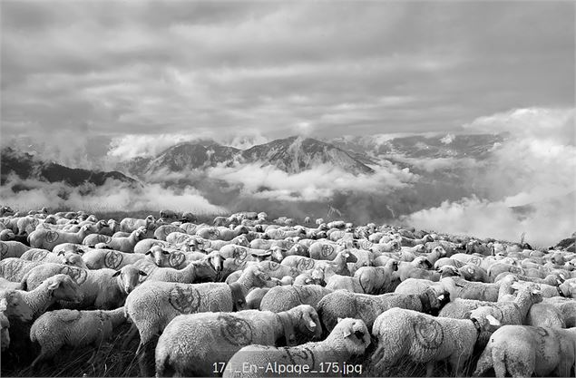 Exposition: l'équilibriste_Champagny-en-Vanoise - Patrick Georget.
