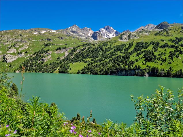 Un plan d'eau en montagne l'été - Alban Pernet - OTHMV