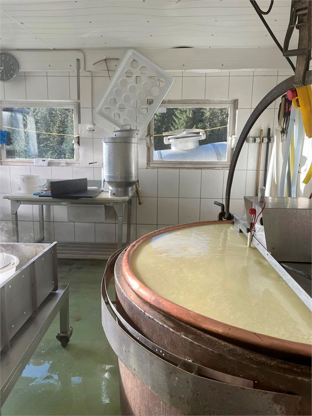 Démonstration de la fabrication de fromages