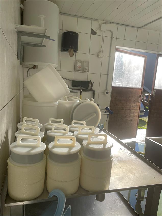 Démonstration de la fabrication de fromages
