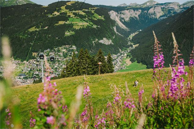 Domaine de Morzine - Mairie de Morzine