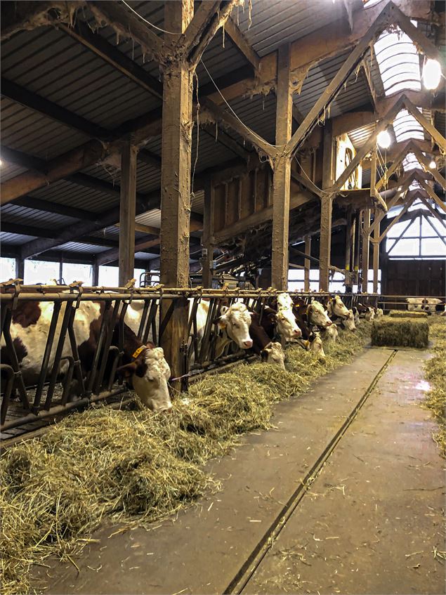 Visite de ferme et dégustation - Tilby Vattard