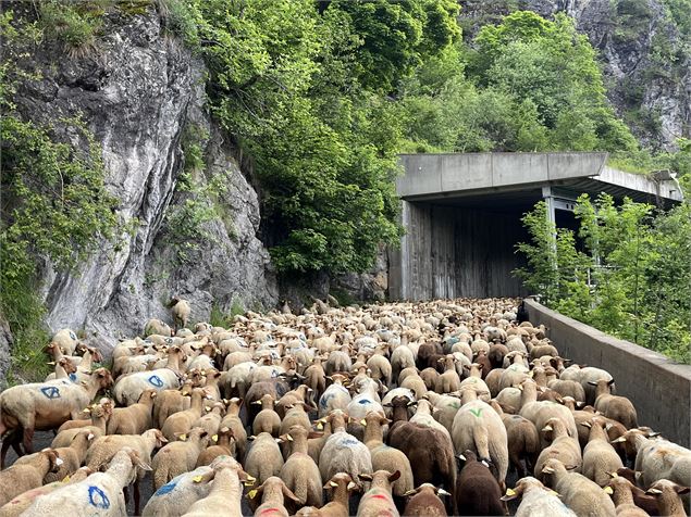 Fête de l'emmontagnée_Champagny-en-Vanoise - OTGP