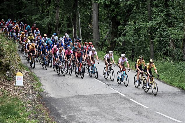 Le peloton sort d'une forêt - OTHMV