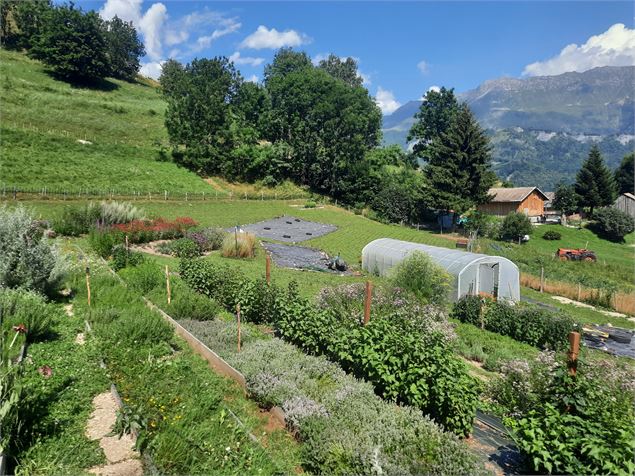 Visite d'une exploitation de PPAM_Saint François Longchamp