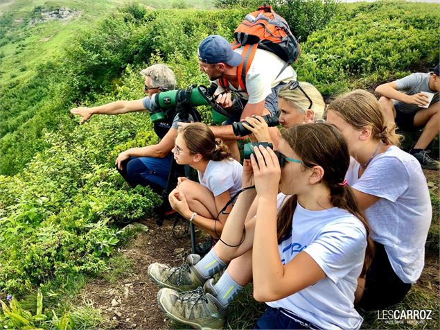 Observation faune locale - OT les Carroz - M.Imberti
