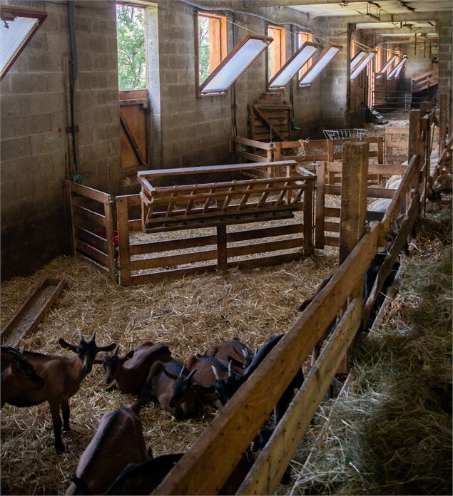 La Ferme des Brebiquettes - OTI MONTAGNICIMES