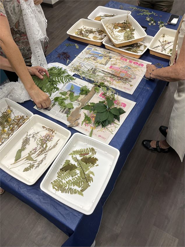 Atelier créatif - Cyanotype - OT le Costellan