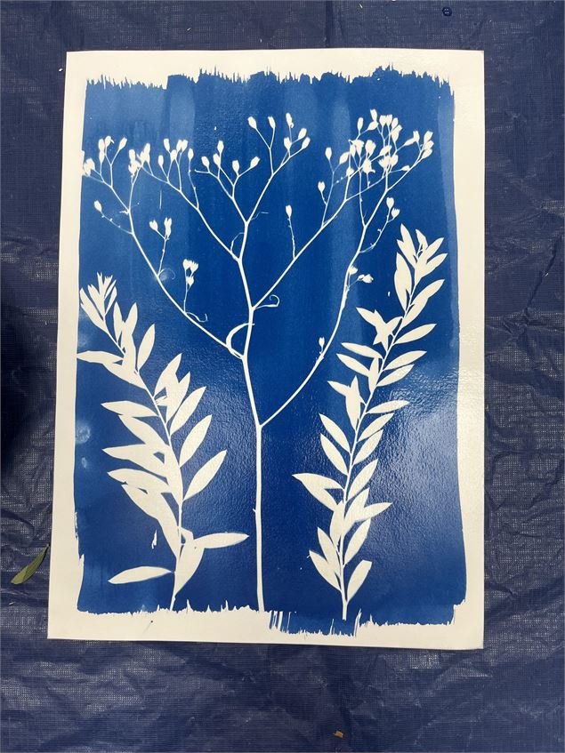 Atelier créatif - Cyanotype - OT le Costellan
