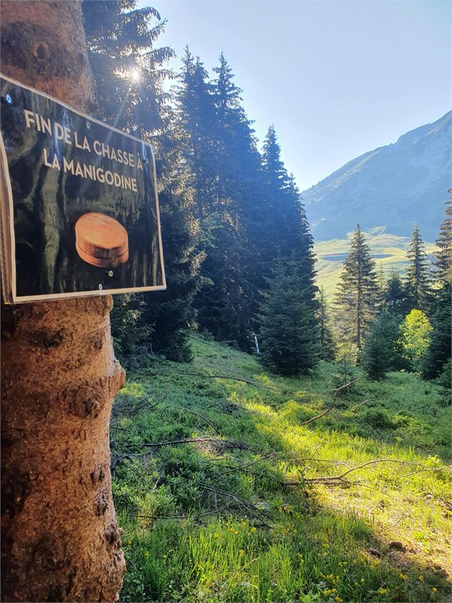 Rando pédestre gourmande