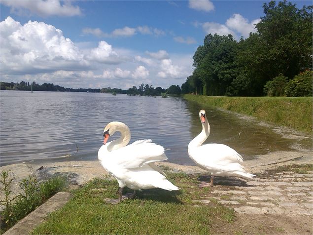 Visite commentée : Thoissey au fil de l'eau