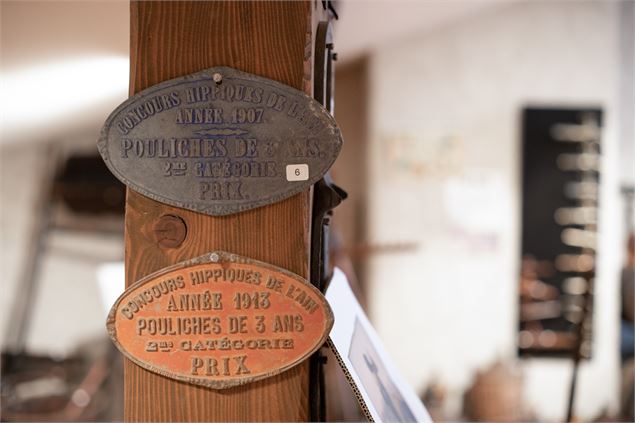Visite commentée au Musée d’Art et d’Histoire Locale cet été - M-Art Photographie