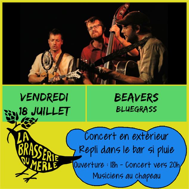 Beavers - Beavers
