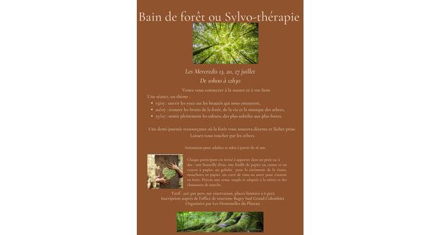 Bainde foret aux Plansd'Hotonnes - Activ' Plein Air