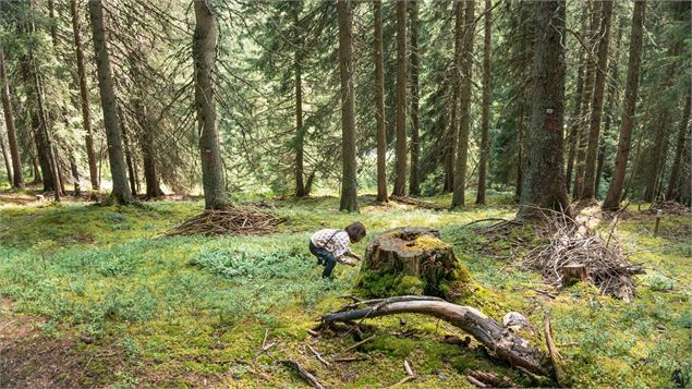 Animation Nature « zones humides »