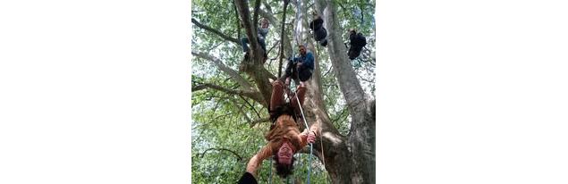 L’arbre des pieds à la tête : « Grimpe Encadrée dans les Arbres »_Morzine
