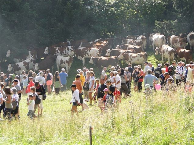 Fête des Alpages du Mont Revard - MRPDA
