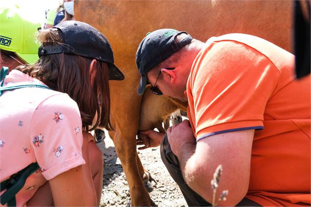 Traite manuelle des vaches - OT Saint Jean d'Arves-Les Sybelles