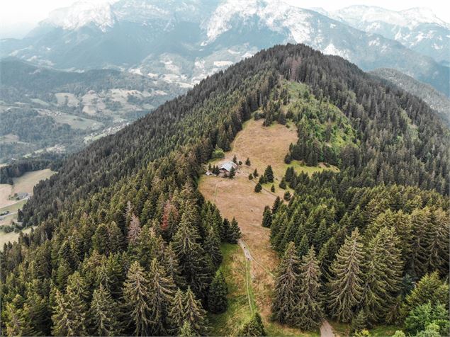 Trail de l'Aigle - OT de Manigod